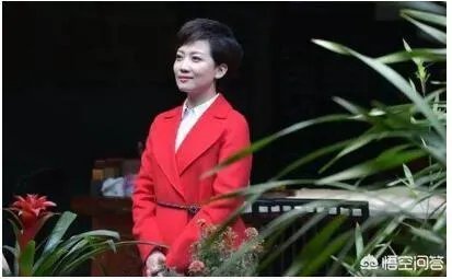 央视王端端