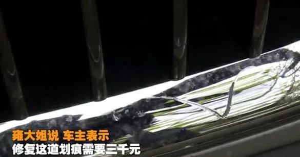 成都保洁大姐蹭伤豪车,丈夫称要与其离婚,你怎么看?