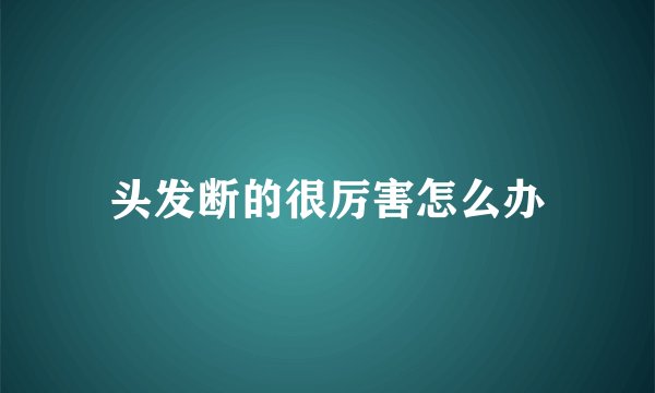 头发断的很厉害怎么办