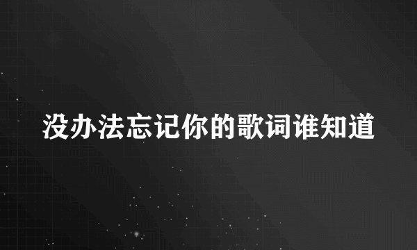 没办法忘记你的歌词谁知道