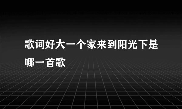歌词好大一个家来到阳光下是哪一首歌