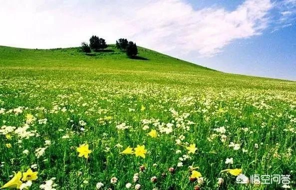 八九月份适合去哪里旅游?