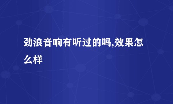 劲浪音响有听过的吗,效果怎么样