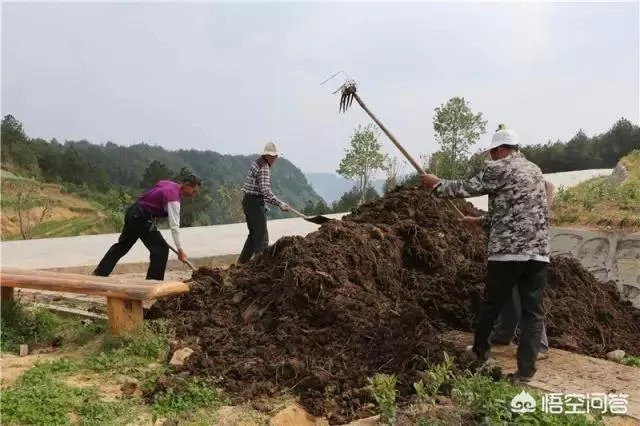 如何处理畜禽粪便?