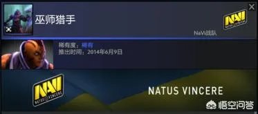 dota2中有哪些v社专门为职业选手设计的英雄套装?