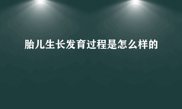 胎儿生长发育过程是怎么样的