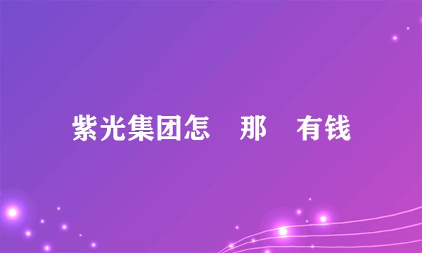 紫光集团怎麼那麼有钱