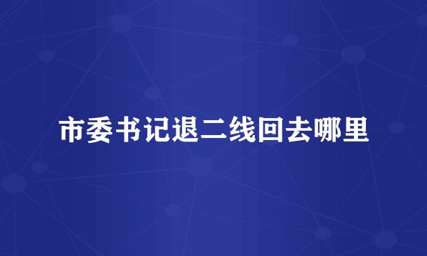 市委书记退二线回去哪里