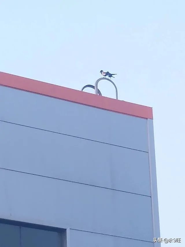 湖北一而再再而三推迟复工。到底什么时候啊？