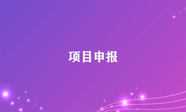 项目申报