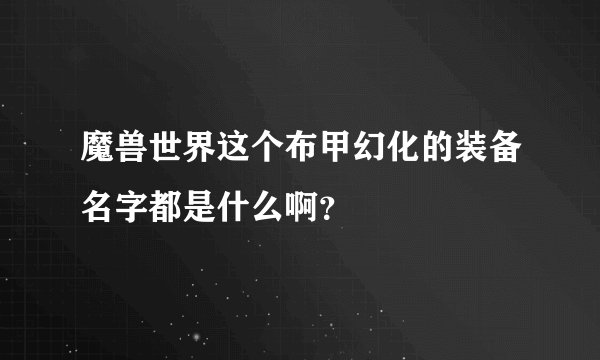 魔兽世界这个布甲幻化的装备名字都是什么啊？