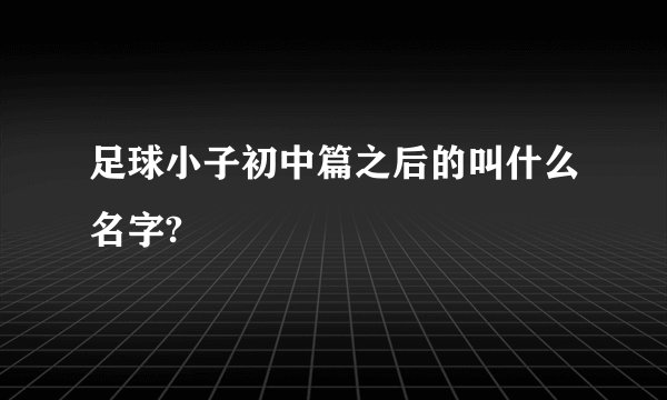 足球小子初中篇之后的叫什么名字?