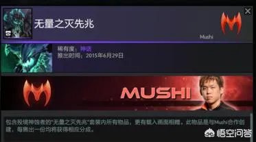 dota2中有哪些v社专门为职业选手设计的英雄套装?