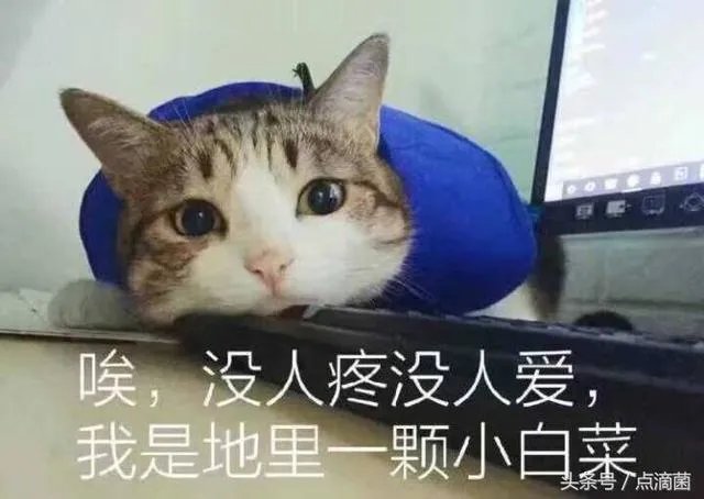 YHboys与TFboys你更喜欢那个组合?