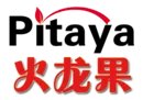 厨房点火器十大品牌排行榜