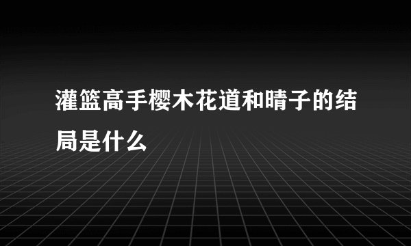 灌篮高手樱木花道和晴子的结局是什么
