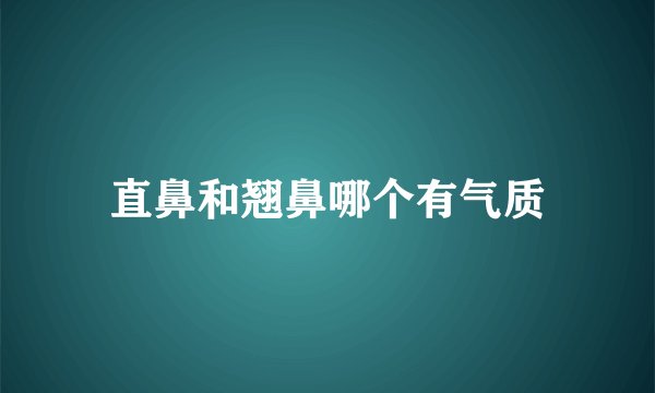 直鼻和翘鼻哪个有气质