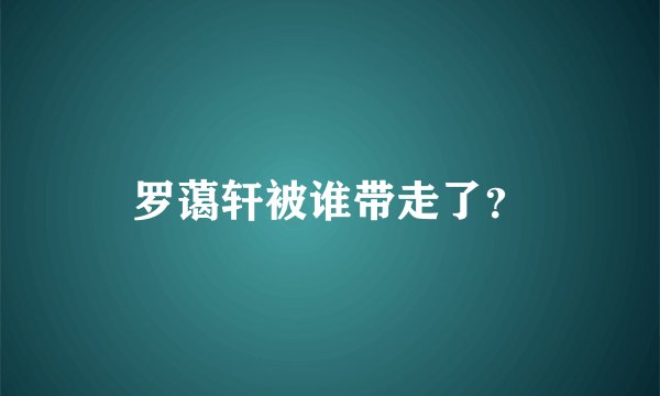 罗蔼轩被谁带走了？