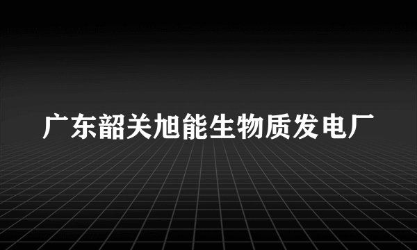 广东韶关旭能生物质发电厂