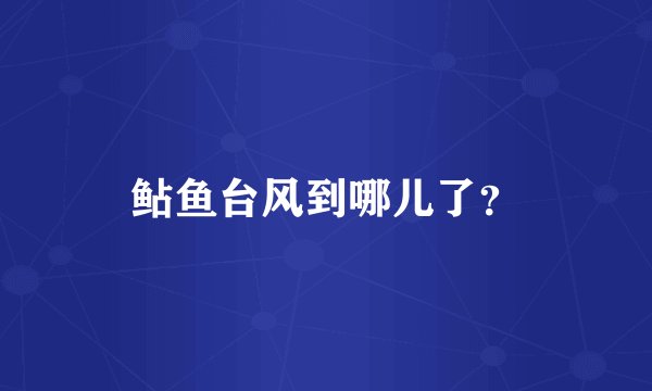 鲇鱼台风到哪儿了？