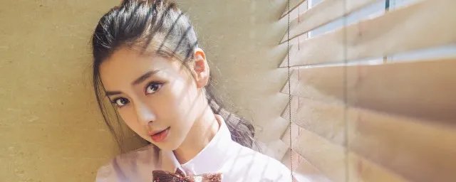 杨颖简介