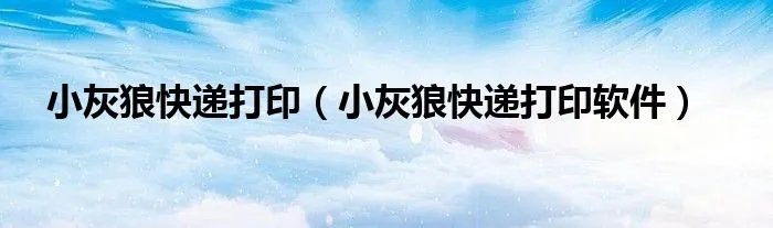 小灰狼快递打印（小灰狼快递打印软件）