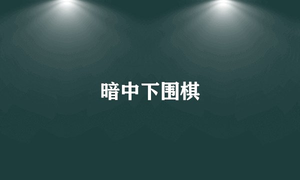 暗中下围棋