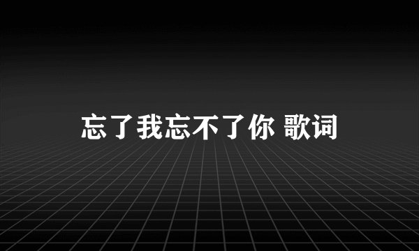 忘了我忘不了你 歌词