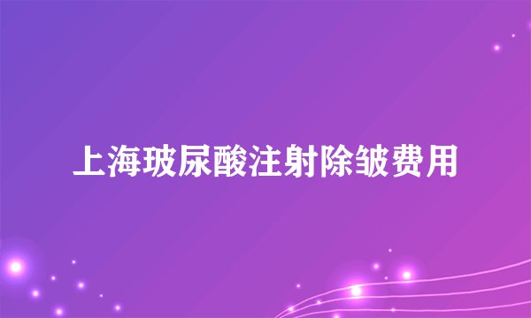 上海玻尿酸注射除皱费用