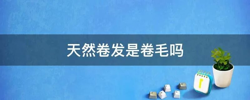 天然卷发是卷毛吗