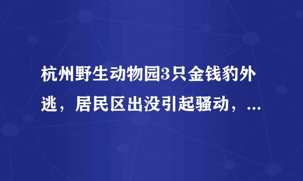 杭州野生动物园3只金钱豹外逃,居民区出没引起骚动,市民该怎么办?
