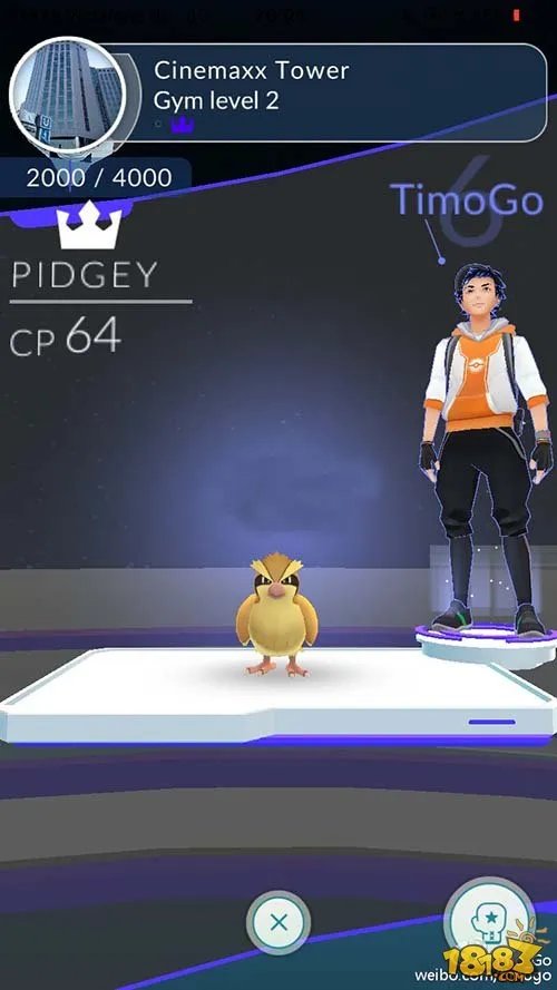 pokemon go新手攻略 小白玩家必看!