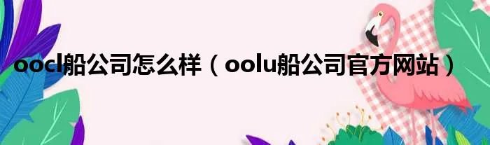 oocl船公司怎么样（oolu船公司官方网站）
