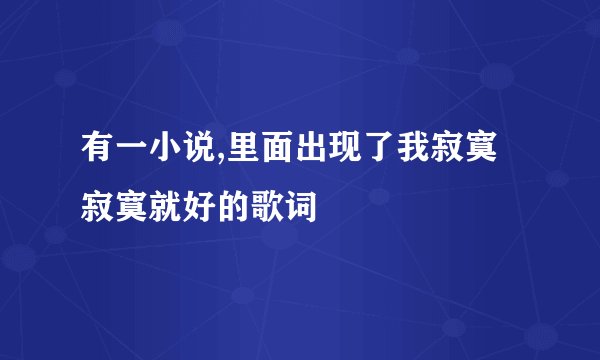 有一小说,里面出现了我寂寞寂寞就好的歌词