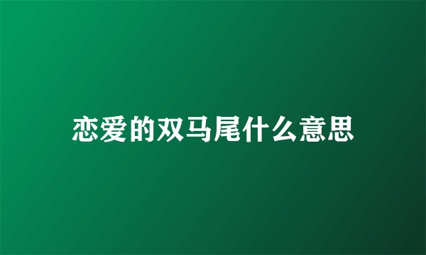 恋爱的双马尾什么意思