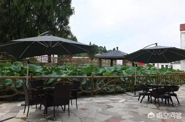 如何看待旅居养老?