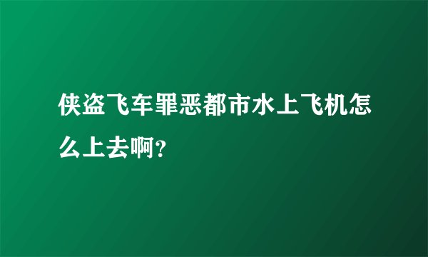 侠盗飞车罪恶都市水上飞机怎么上去啊?