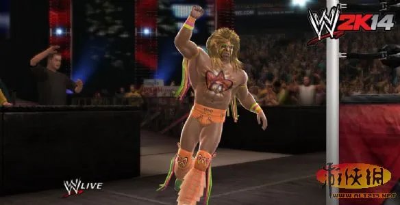 《WWE 2K14》IGN 8.7分 完美演绎摔角兴衰史!