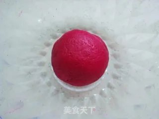 莲蓉花朵和果子
