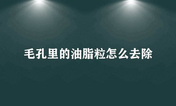 毛孔里的油脂粒怎么去除