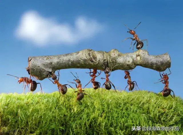 蚂蚁集团下周四打新。个人投资者怎样才能中签?