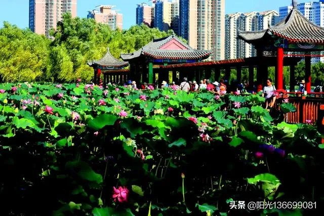 男生爱拍什么风格照片? ?