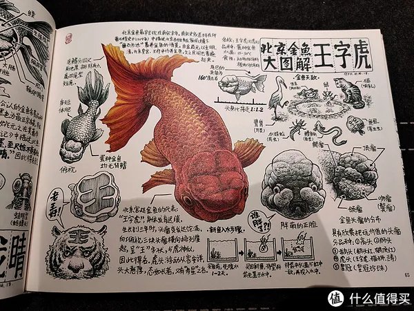不求甚解集 篇二十:我们的八十年代:《漫步八十年代:老北京拾遗》