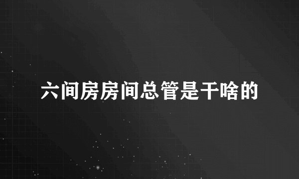 六间房房间总管是干啥的