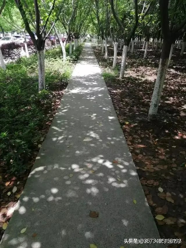 七井山