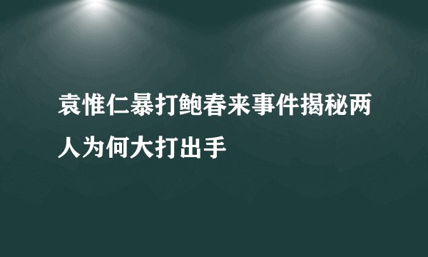 袁惟仁暴打鲍春来事件揭秘两人为何大打出手