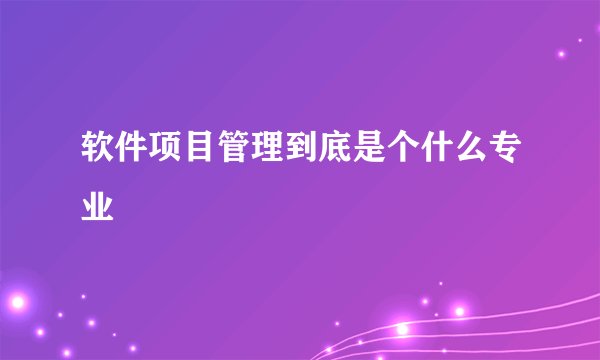 软件项目管理到底是个什么专业