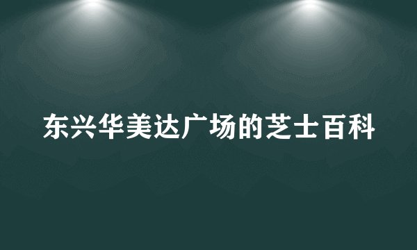 东兴华美达广场的芝士百科