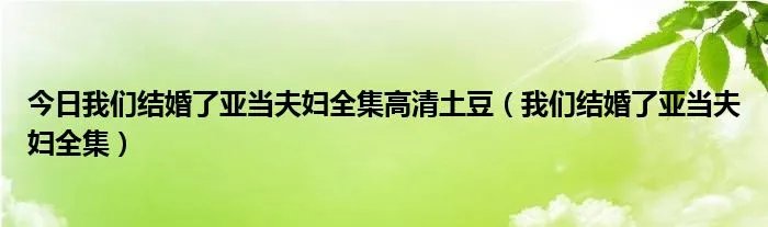 今日我们结婚了亚当夫妇全集高清土豆（我们结婚了亚当夫妇全集）