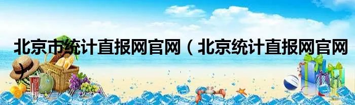 北京市统计直报网官网（北京统计直报网官网）